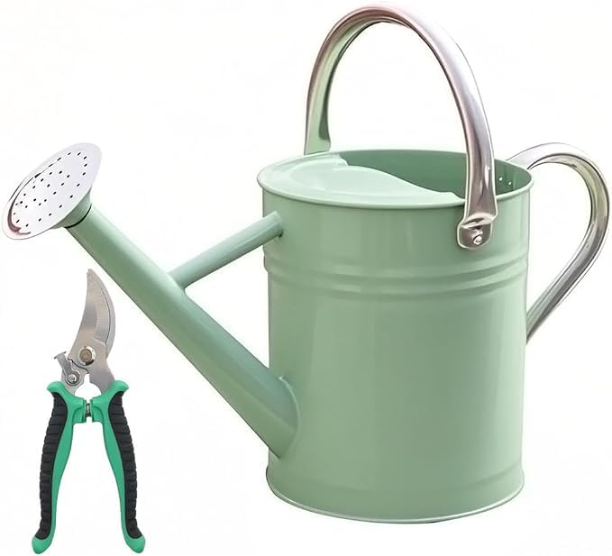 Metal Watering Can 1 Gallon for Outdoor Garden Plants, Green