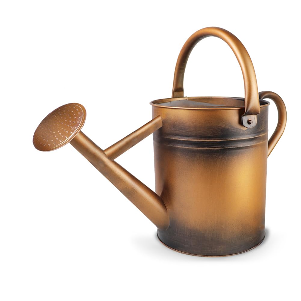 Metal Watering Can with Removable Spout, Galvanized Steel Plants Water Can for Women, Men and Kids' Outdoor or Indoor Gardening - Nice Flower Watering Pot Gift & Decoration (Zinc, 0.6 Gallon)