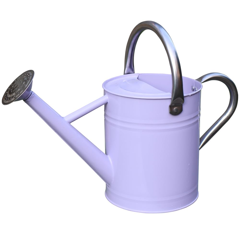 Metal Watering Can 1 Gallon for Outdoor Garden Plants, Green