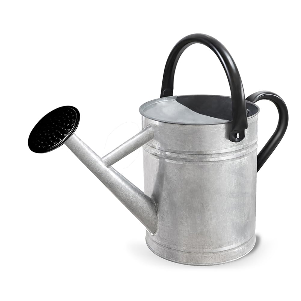Metal Watering Can with Removable Spout, Galvanized Steel Plants Water Can for Women, Men and Kids' Outdoor or Indoor Gardening - Nice Flower Watering Pot Gift & Decoration (Zinc, 0.6 Gallon)