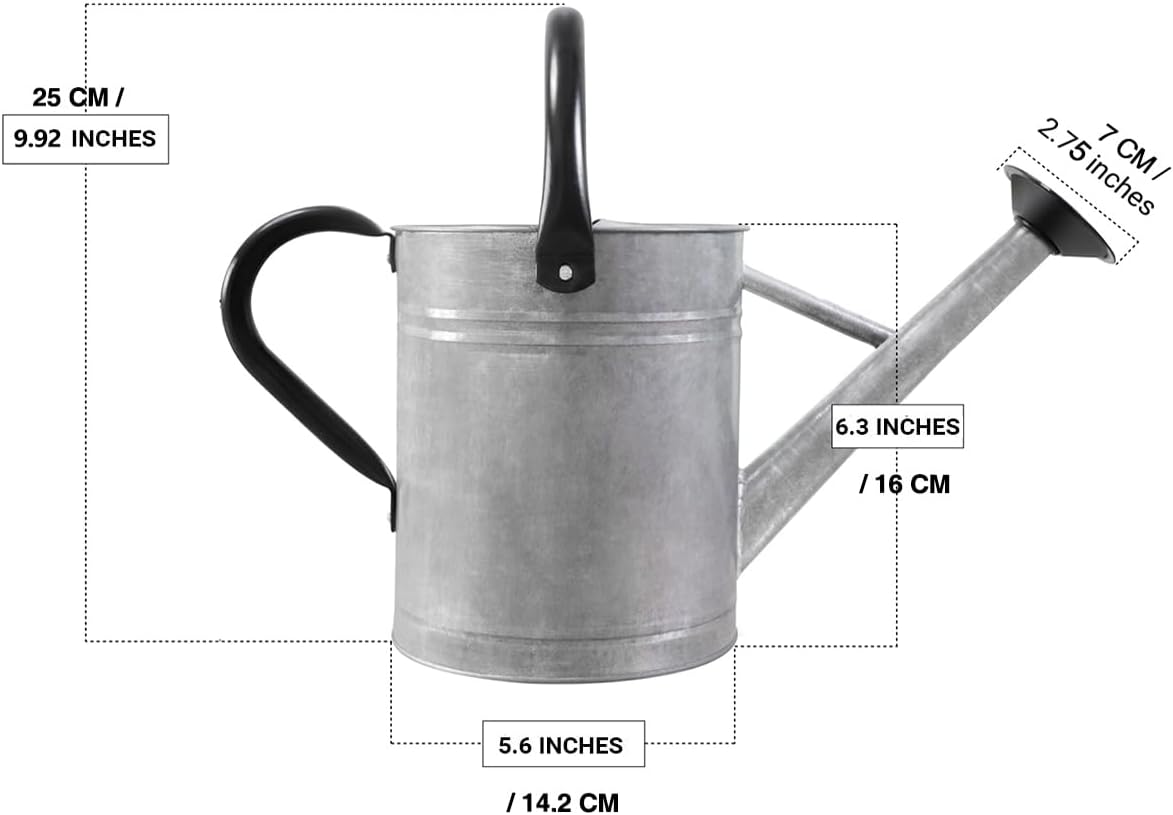 Metal Watering Can with Removable Spout, Galvanized Steel Plants Water Can for Women, Men and Kids' Outdoor or Indoor Gardening - Nice Flower Watering Pot Gift & Decoration (Zinc, 0.6 Gallon)