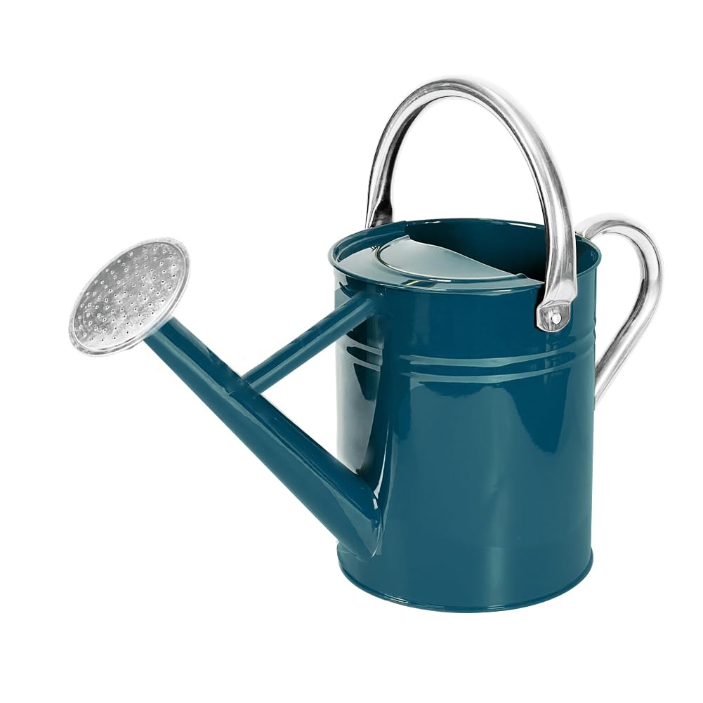 Metal Watering Can with Removable Spout, Galvanized Steel Plants Water Can for Women, Men and Kids' Outdoor or Indoor Gardening - Nice Flower Watering Pot Gift & Decoration (Zinc, 0.6 Gallon)