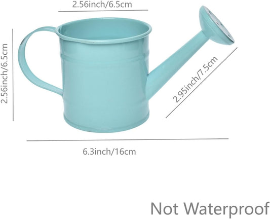 Decorative Mini Tin Watering Can - 0.05Gal Cute Metal Jug for Hand Crafts,Garden-Theme Parties,Plant Pots, Home Decor,Housewarmings, Fun Birthday Gift for Girls and Boys (B/G, S)