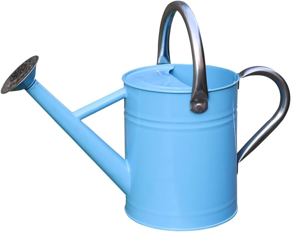 Metal Watering Can 1 Gallon for Indoor and Outdoor Plants Red