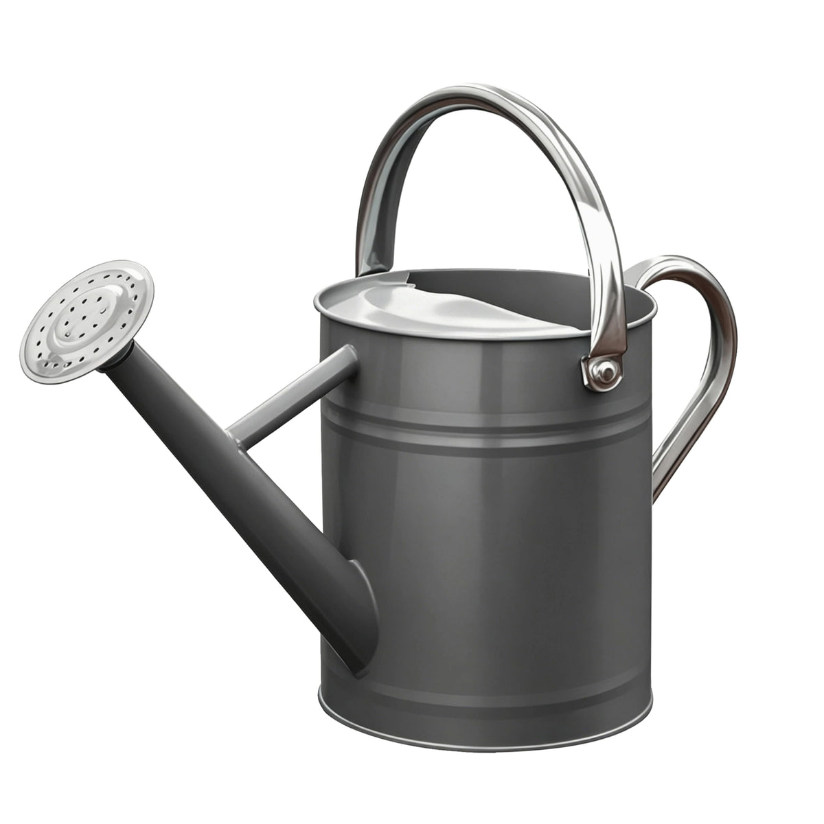 Metal Watering Can for Outdoor Plants, Watering Can Decor 1 Gallon (GB)