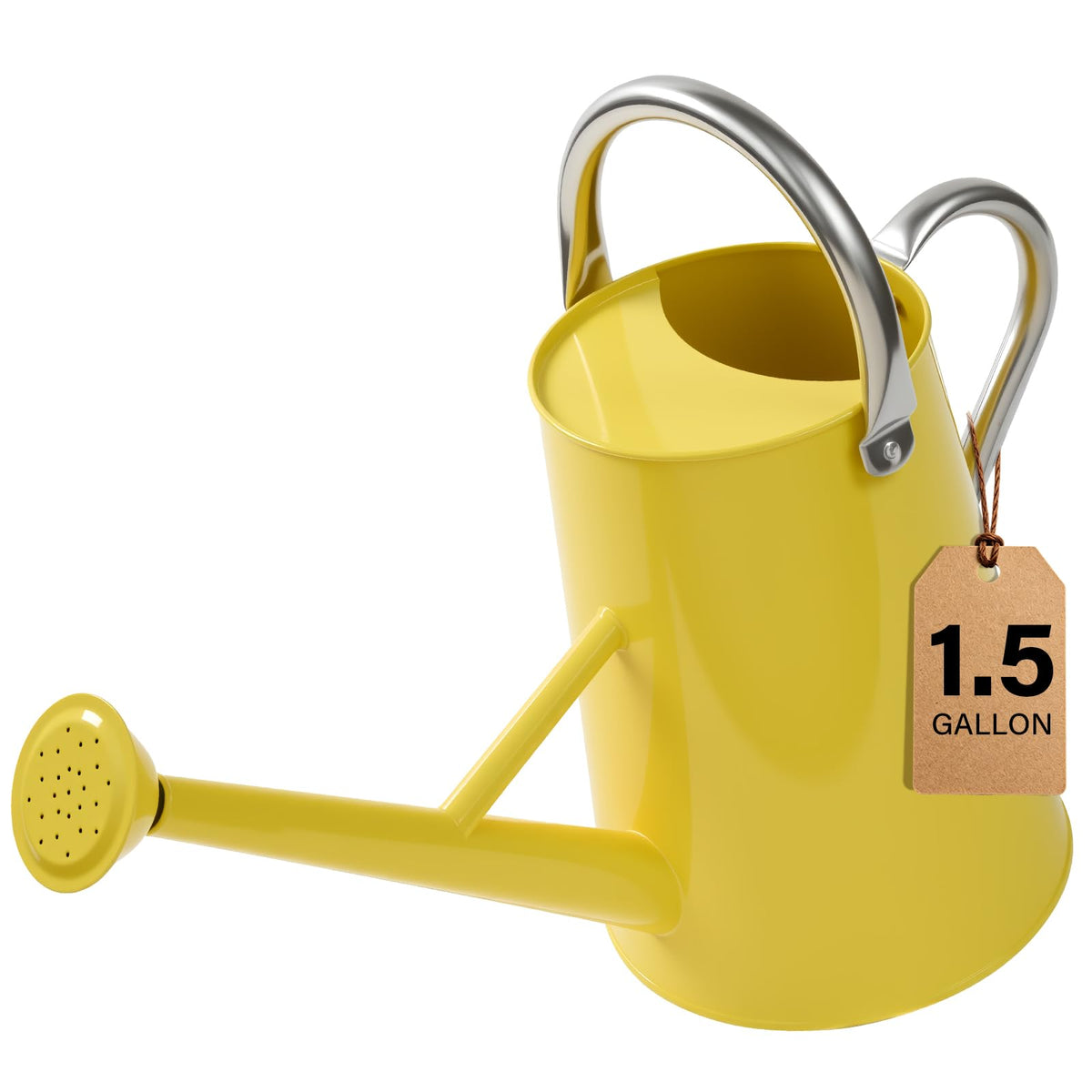 Watering Can for Outdoor&Indoor Plants,1.5 Gallon,Black