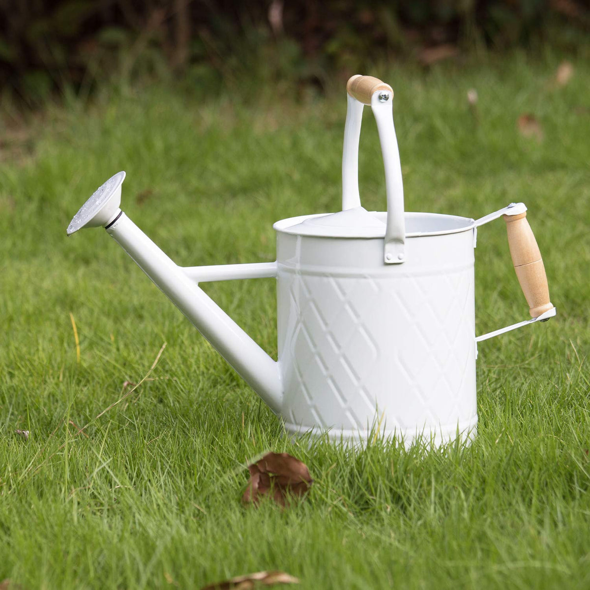 1.3 Gallon Jade Green Metal Watering Can, Removable Spout