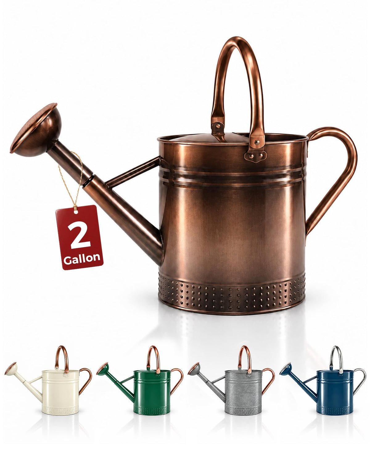 Bamworld Outdoor Watering Can Dual Handle Removable Nozzle 2 Gallon Silver