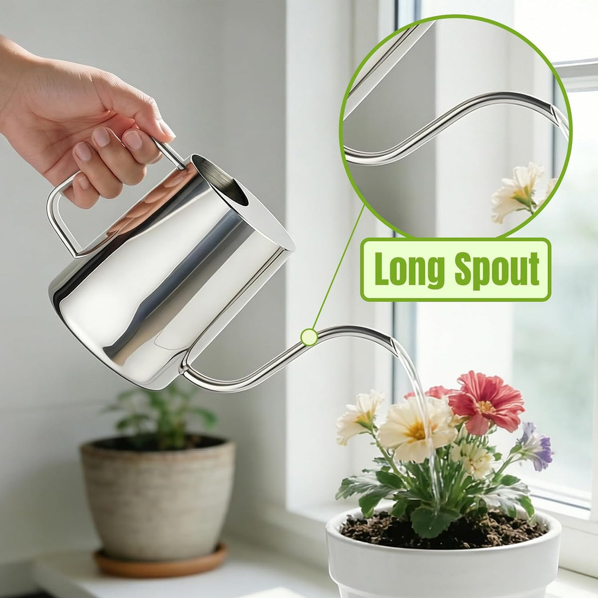 Plant Watering Can, 304 Stainless Steel Watering Can Indoor, 34 oz