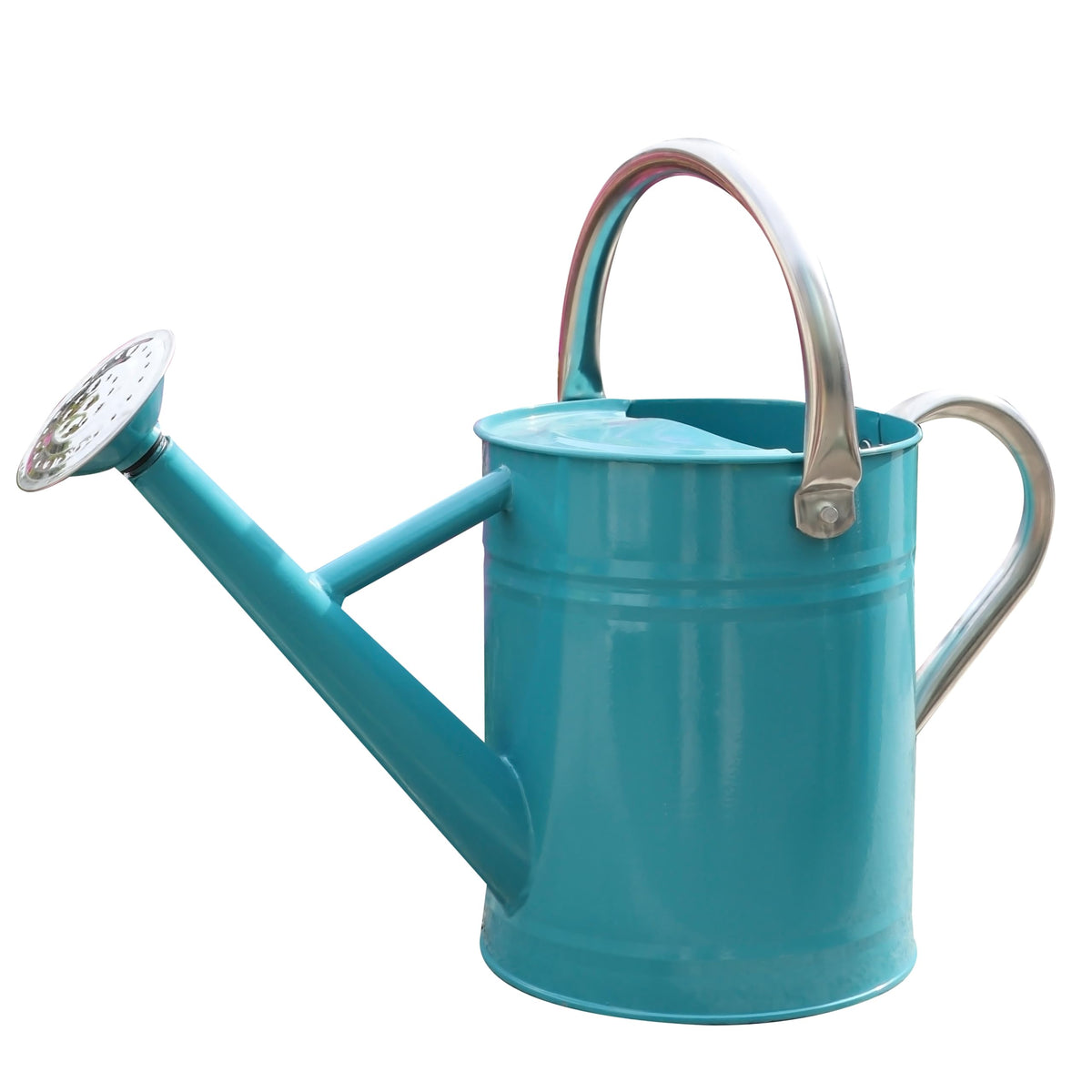 Metal Watering Can for Outdoor Plants, Watering Can Decor 1 Gallon (Green)
