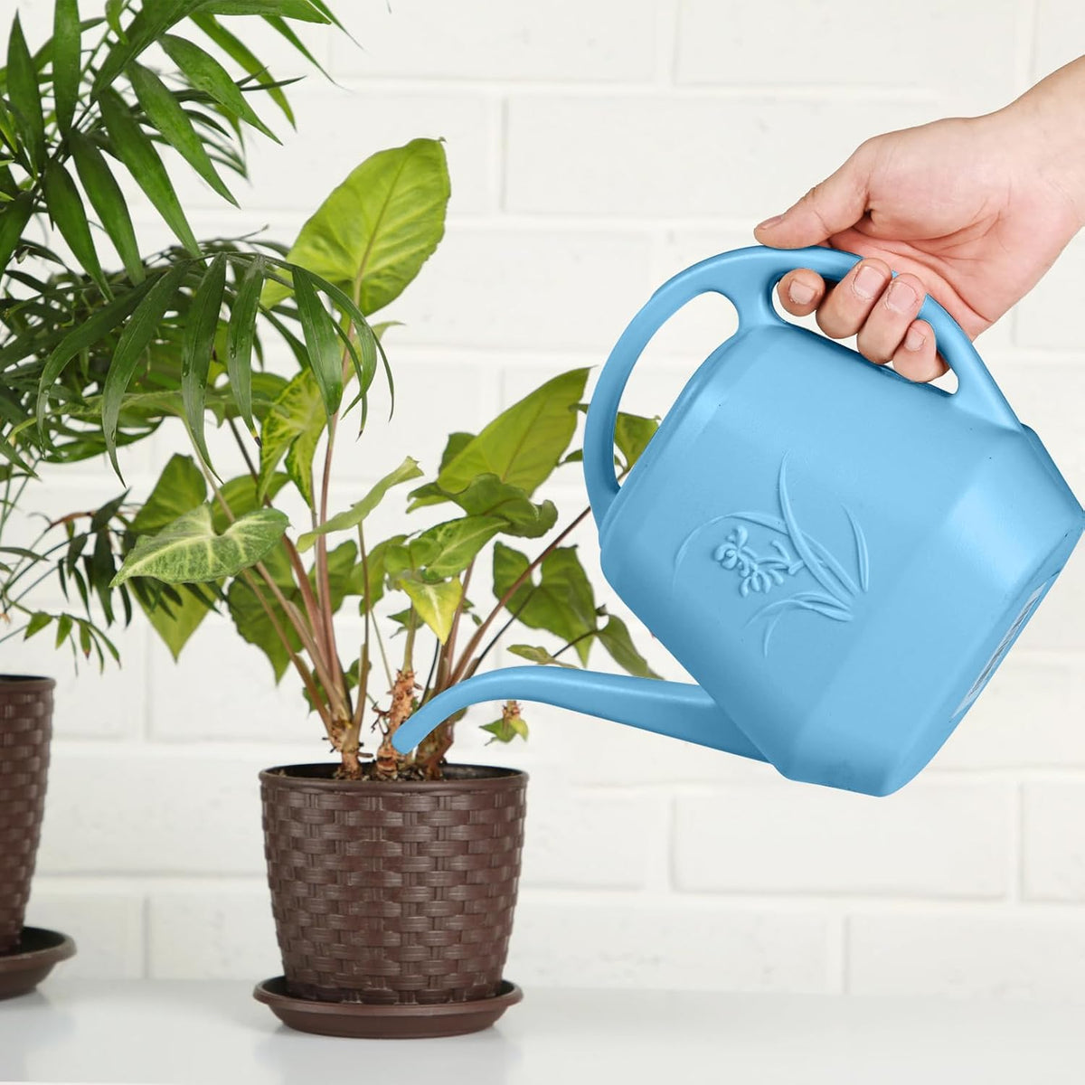 Watering Can - for Home Plant Garden - 1 Gallon Hand - Sky Blue