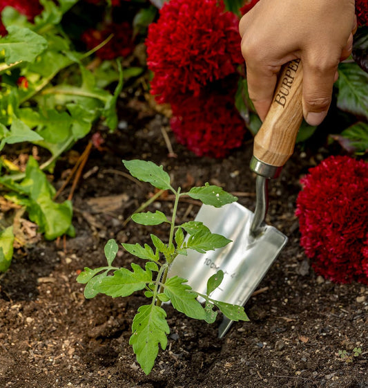 Burpee 13" Stainless Steel Trowel Durable Long Lasting Garden Tool Leather Wrist Strap 5" Handle, 10 Year Warranty, Oak