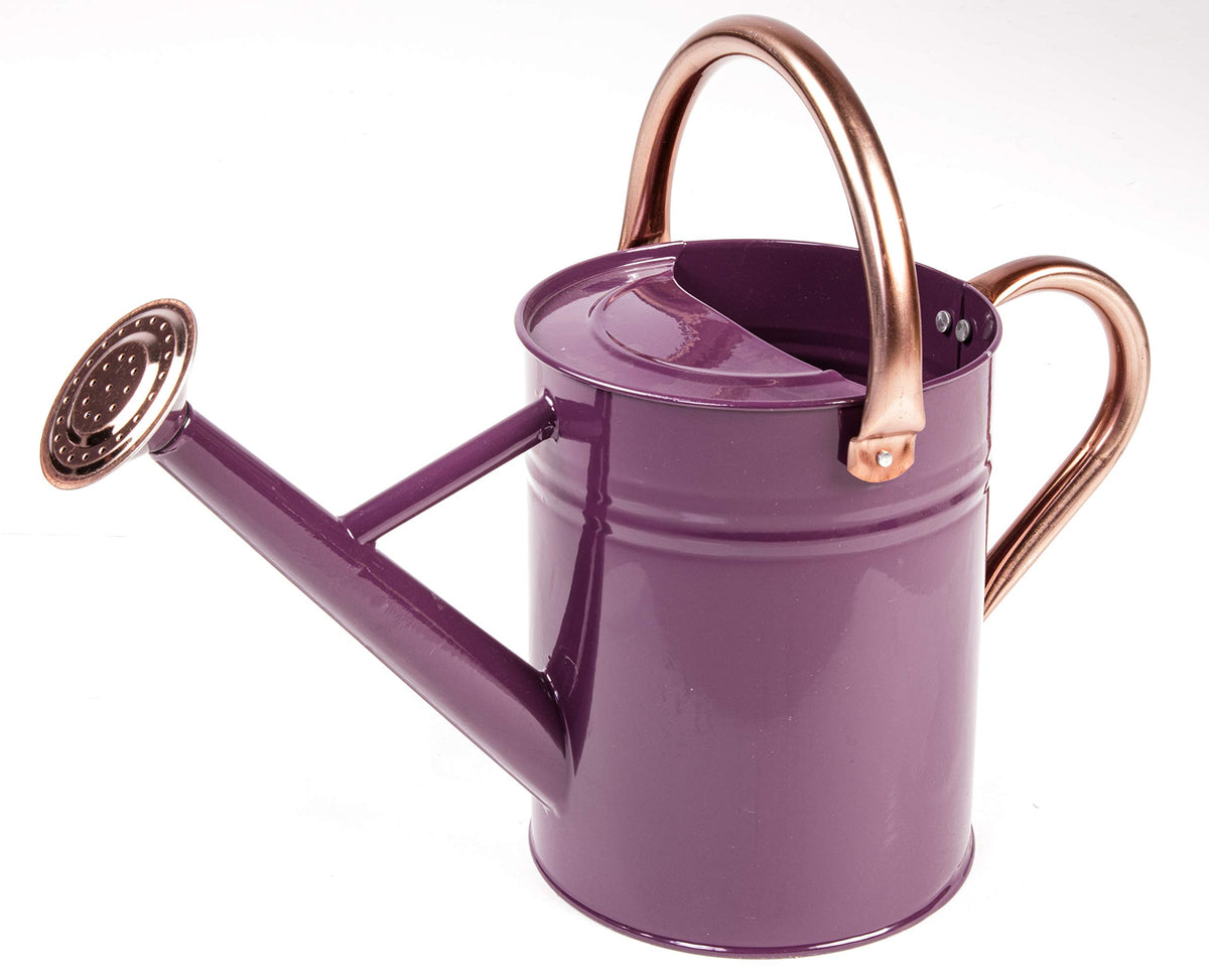 Gardman R34896 1 Gallon Watering Can, Midnight Blue