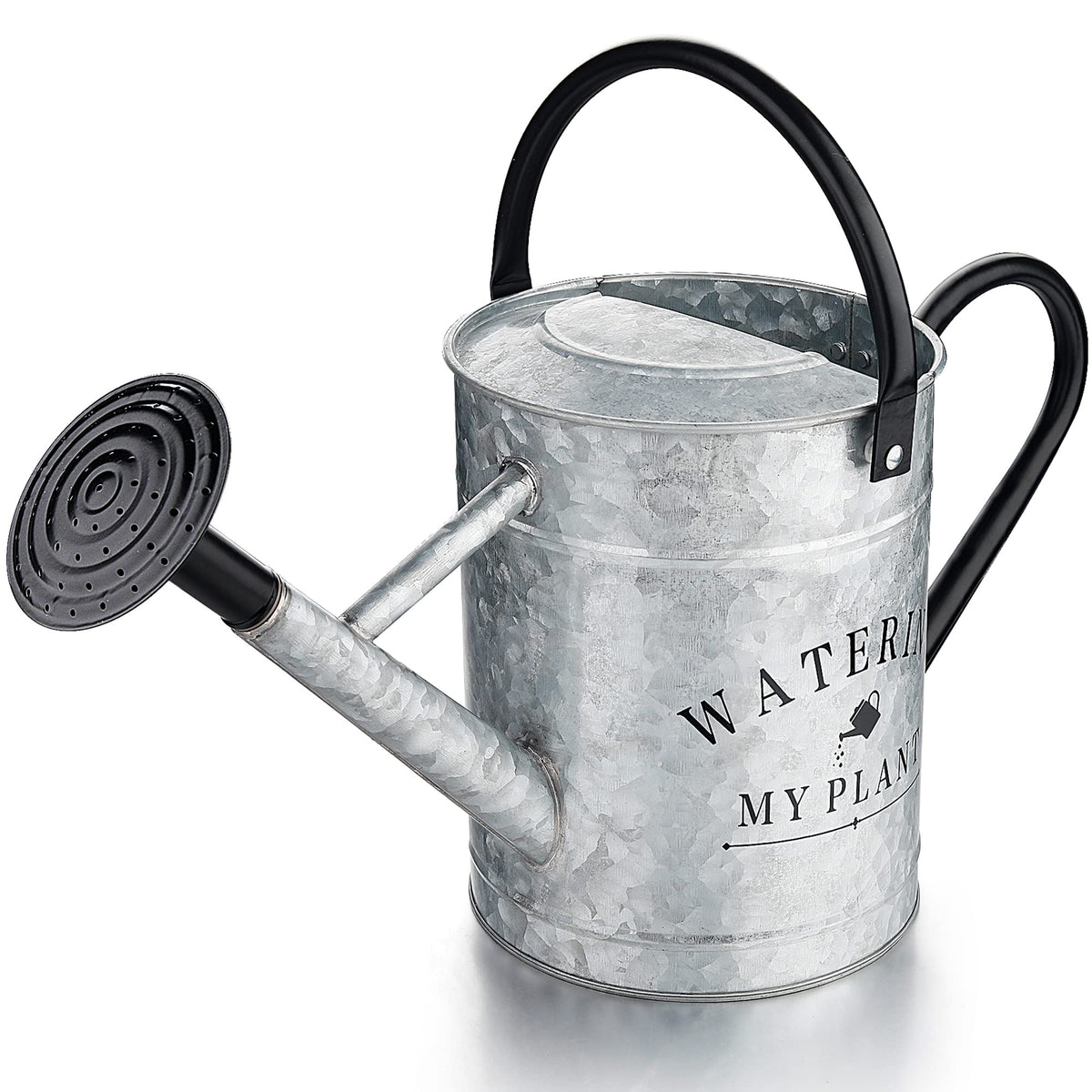 Garutom Galvanized Watering Can for Outdoor Indoor Plants, 1 Gallon Decorative Countryside Water Can with Removable Spout, Metal Watering Can for Indoor Plants and Garden Flower (Green)