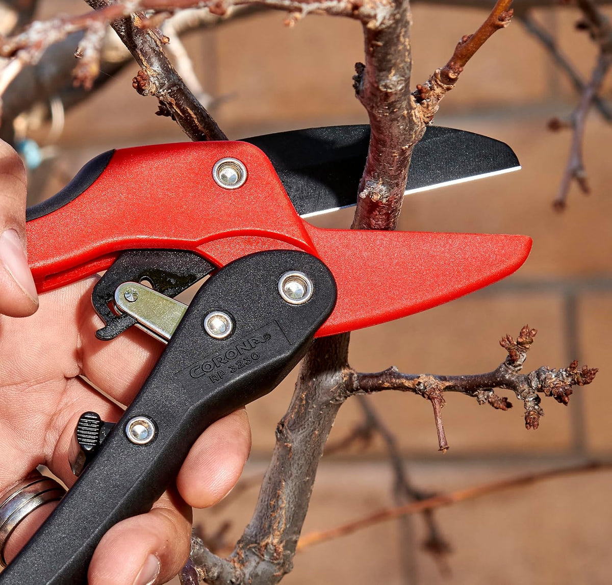 Corona Tools Ratchet Hand Pruner – 3/4-Inch Cut Capacity Garden Pruning Shears for Stems & Branches, Heavy-Duty Ratcheting Hand Pruners with Comfortable Grip
