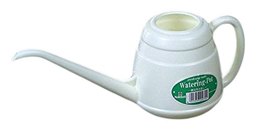 Japanese Long Spout Watering Can for Bonsai Succulents Cactus Rosettes Succulents Indoor Outdoor Plants Control Water Flow Made in Japan, 850ml, 2-Pack