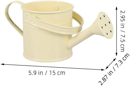 KALLORY 4Pcs Beige Metal Watering Can Set, Small Indoor Plant Watering Can