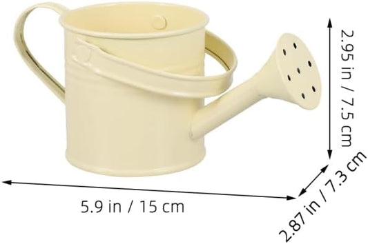 KALLORY 4Pcs Beige Metal Watering Can Set, Small Indoor Plant Watering Can