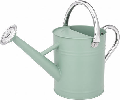 1 Gallon Metal Watering Can for Indoor Outdoor Plants, Cream Green