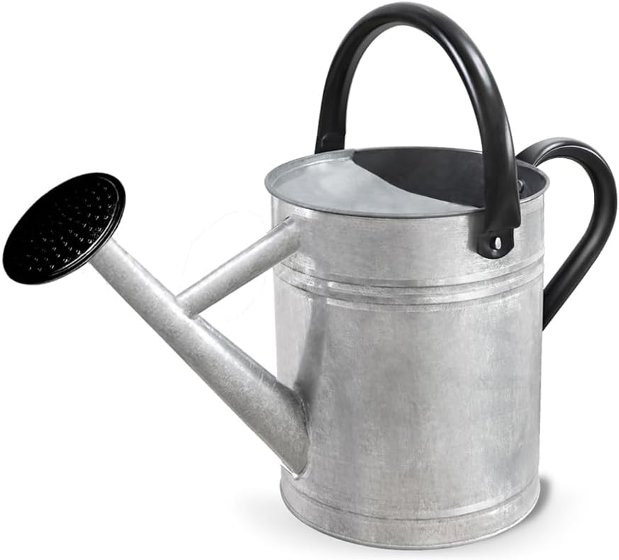 Metal Watering Can with Removable Spout, Galvanized Steel Plants Water Can for Women, Men and Kids' Outdoor or Indoor Gardening - Nice Flower Watering Pot Gift & Decoration (Zinc, 0.6 Gallon)