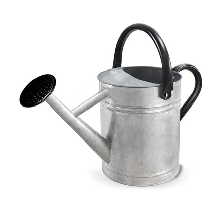 Metal Watering Can with Removable Spout, Galvanized Steel Plants Water Can for Women, Men and Kids' Outdoor or Indoor Gardening - Nice Flower Watering Pot Gift & Decoration (Zinc, 0.6 Gallon)