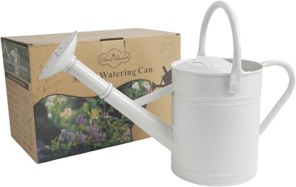 1 Gallon White Metal Watering Can with Removable Watering Rose