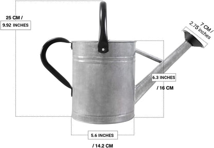 Metal Watering Can with Removable Spout, Galvanized Steel Plants Water Can for Women, Men and Kids' Outdoor or Indoor Gardening - Nice Flower Watering Pot Gift & Decoration (Zinc, 0.6 Gallon)