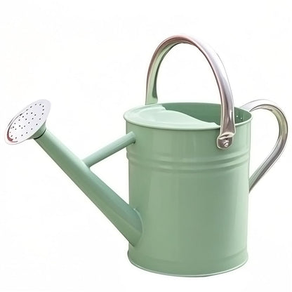 Metal Watering Can 1 Gallon for Outdoor Garden Plants, Green