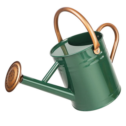 Metal Watering Can with Removable Spout, Galvanized Steel Plants Water Can for Women, Men and Kids' Outdoor or Indoor Gardening - Nice Flower Watering Pot Gift & Decoration (Zinc, 0.6 Gallon)