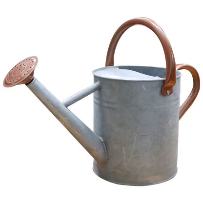 Metal Watering Can 1 Gallon for Outdoor Garden Plants, Green