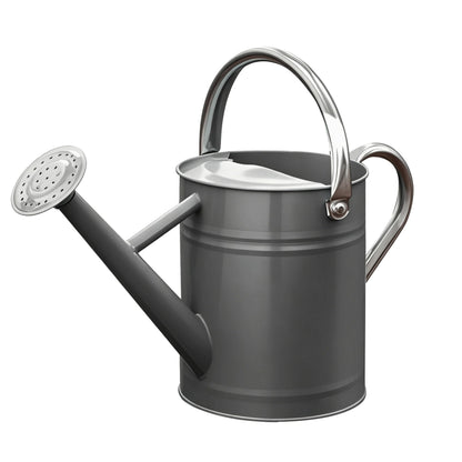 Metal Watering Can for Outdoor Plants, Watering Can Decor 1 Gallon (Green)