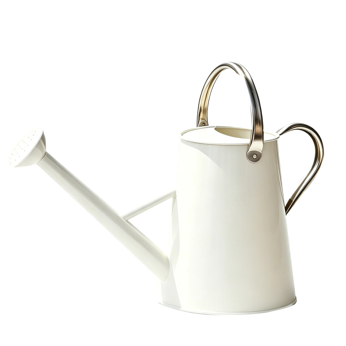 1.5 Gallon Metal Watering Can for Outdoor Plants, Large Watering Can, Black