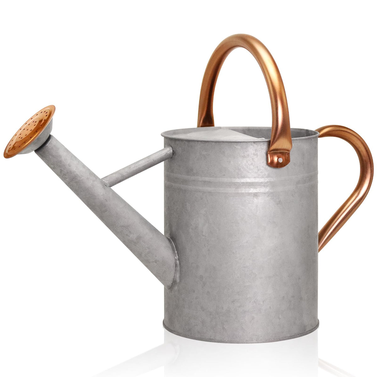 Metal Watering Can with Removable Spout, Galvanized Watering Can, Perfect for Indoor Use and for Outdoor Use (1 Gallaon, Metal)