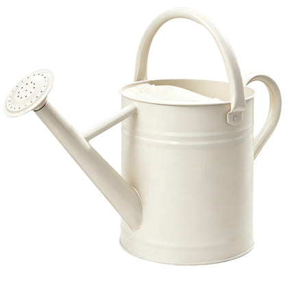 Metal Watering Can for Outdoor Plants, Watering Can Decor 1 Gallon (Green)