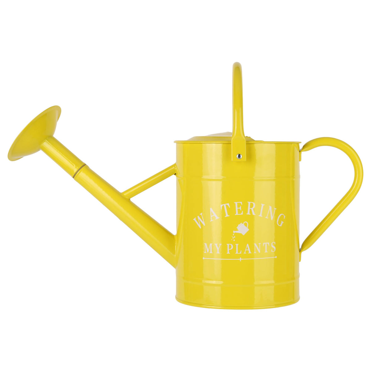 Garutom Galvanized Watering Can for Outdoor Indoor Plants, 1 Gallon Decorative Countryside Water Can with Removable Spout, Metal Watering Can for Indoor Plants and Garden Flower (Green)