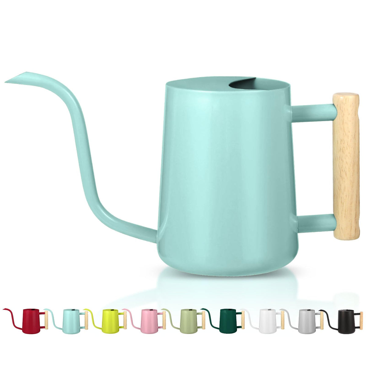 Watering Can Indoor Plants, 35oz Small Indoor Stainless Steel Metal Watering Can Modern Decorative Watering Pot with Long Spout for Indoor House Plant Bonsai Garden Flowers (Sage Green)