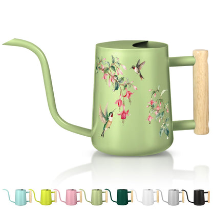 Watering Can Indoor Plants, 35oz Small Indoor Stainless Steel Metal Watering Can Modern Decorative Watering Pot with Long Spout for Indoor House Plant Bonsai Garden Flowers (Sage Green)