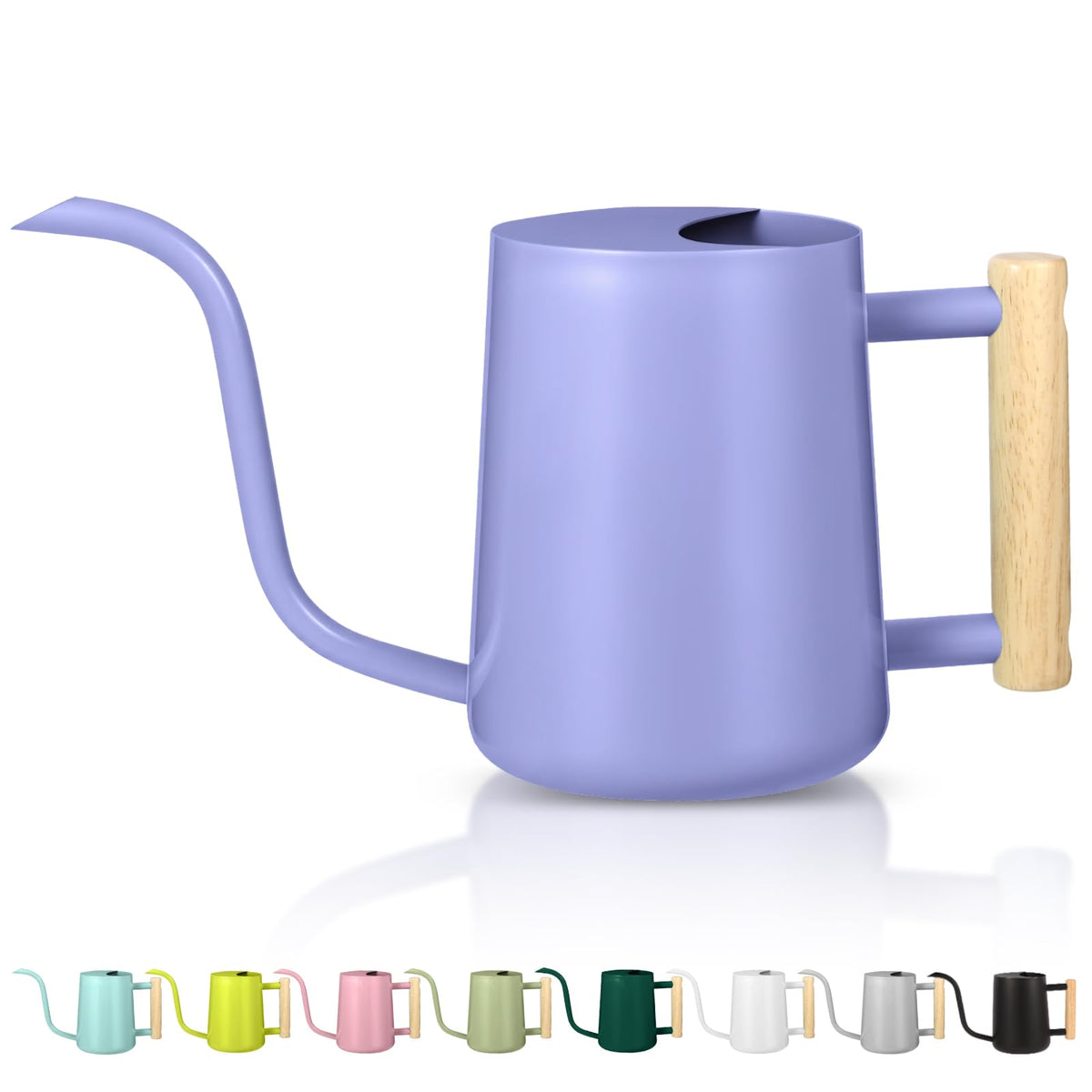 Watering Can Indoor Plants, 35oz Small Indoor Stainless Steel Metal Watering Can Modern Decorative Watering Pot with Long Spout for Indoor House Plant Bonsai Garden Flowers (Sage Green)