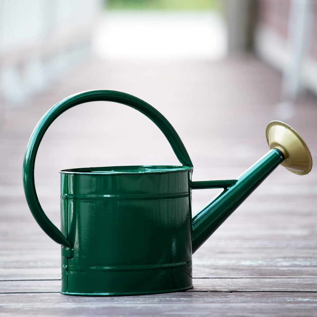 1.3 Gallon Jade Green Metal Watering Can, Removable Spout