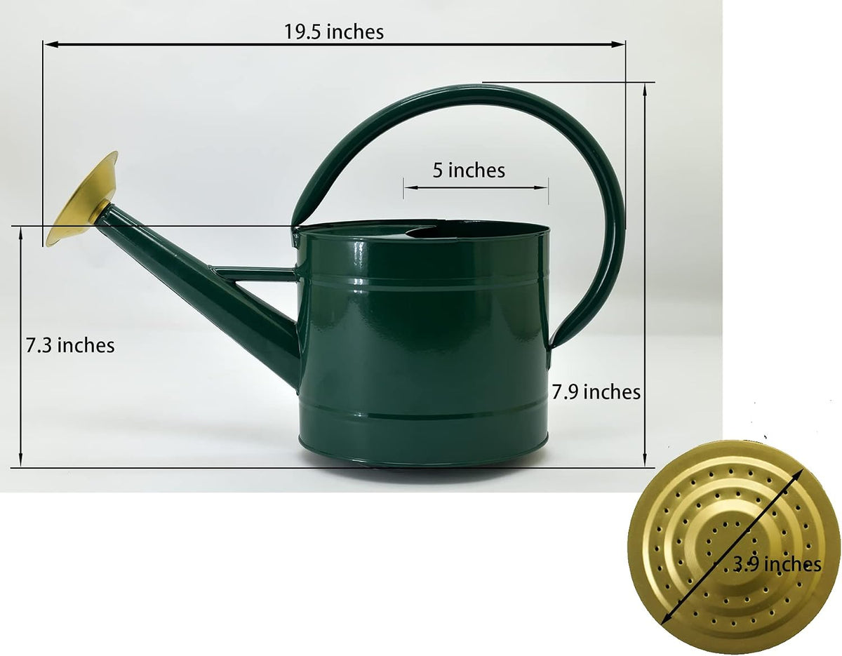 1.3 Gallon Jade Green Metal Watering Can, Removable Spout