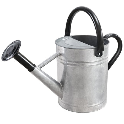 Metal Watering Can with Removable Spout, Galvanized Steel Plants Water Can for Women, Men and Kids' Outdoor or Indoor Gardening - Nice Flower Watering Pot Gift & Decoration (Zinc, 0.6 Gallon)