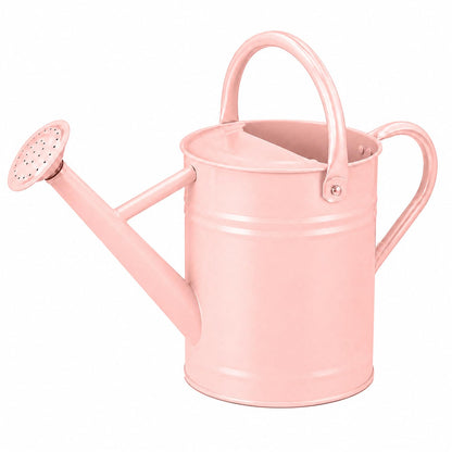 1 Gallon Metal Watering Can for Indoor Outdoor Plants, Cream Green