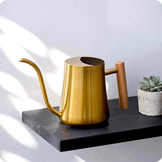 Baffect Indoor Watering Can for House Plant & Small Bonsai (1L, Brass Gold)