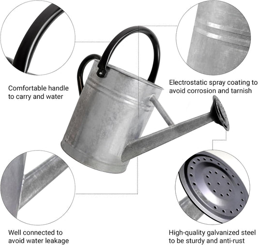Metal Watering Can with Removable Spout, Galvanized Steel Plants Water Can for Women, Men and Kids' Outdoor or Indoor Gardening - Nice Flower Watering Pot Gift & Decoration (Zinc, 0.6 Gallon)