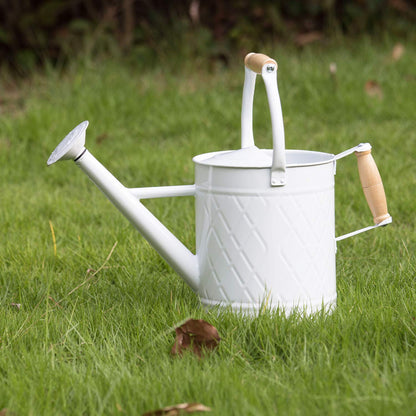 1.3 Gallon Jade Green Metal Watering Can, Removable Spout