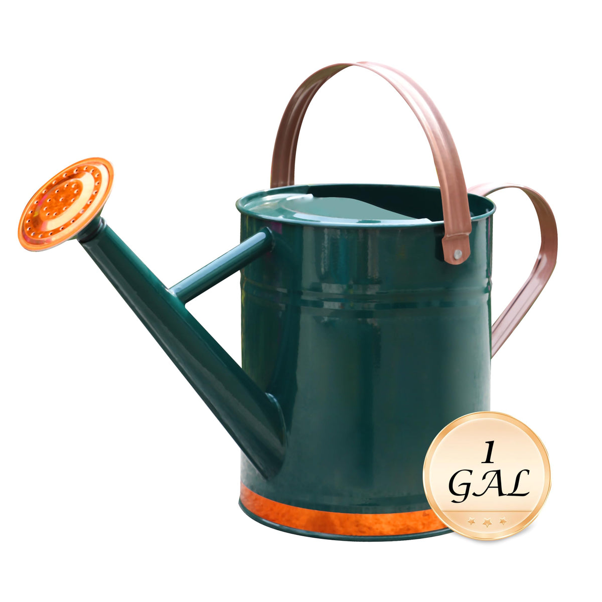Metal Watering Can for Outdoor Plants, Watering Can Decor 1 Gallon (Green)
