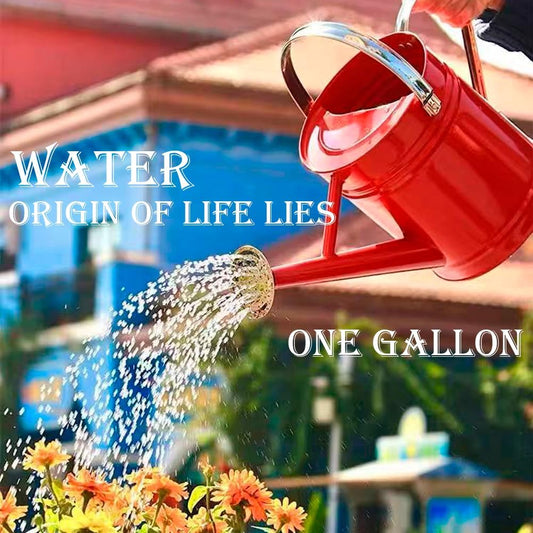 Metal Watering Can 1 Gallon for Indoor and Outdoor Plants Red