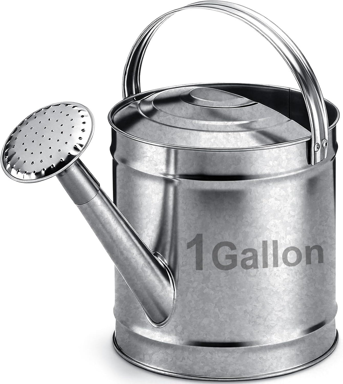 Geetery 1 Gallon Galvanized Metal Watering Can, Removable Spout, Silver