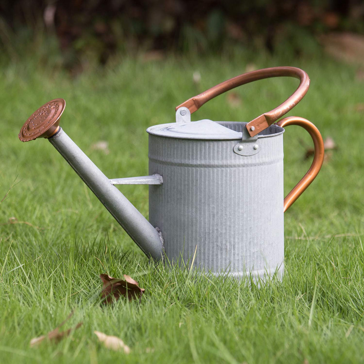 1.3 Gallon Jade Green Metal Watering Can, Removable Spout