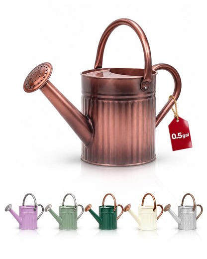 Bamworld Metal Watering Can for Indoor Outdoor Plant 1/2 Gallon Creamy
